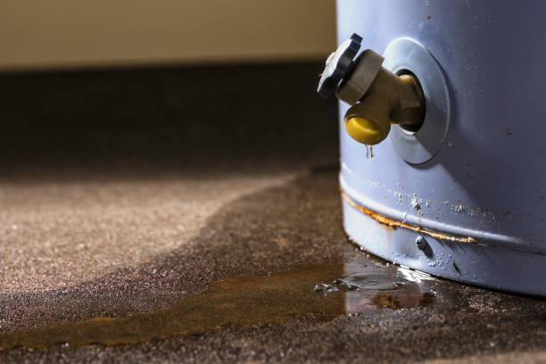 Best 24-hour water damage restoration  in Oakwood, OH