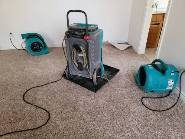 Best Flood restoration services  in Oakwood, OH