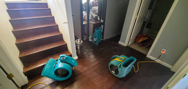 Best Water damage contractors near me  in Oakwood, OH