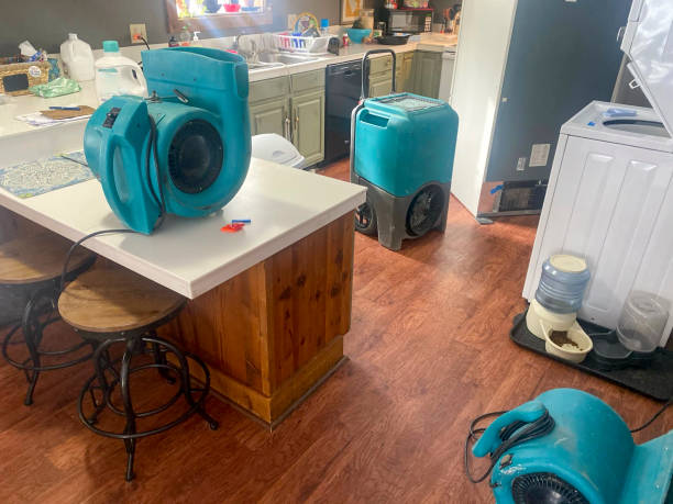 Best Flood damage cleanup  in Oakwood, OH