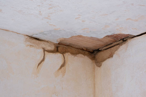 Best Local water damage restoration  in Oakwood, OH
