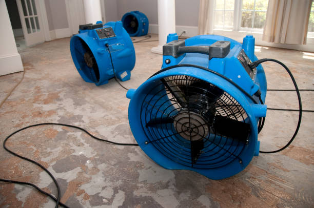 Best Local water damage restoration  in Oakwood, OH