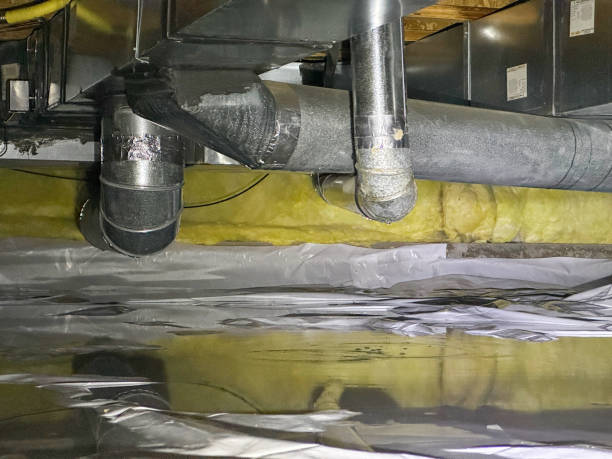 Best Basement water damage restoration  in Oakwood, OH