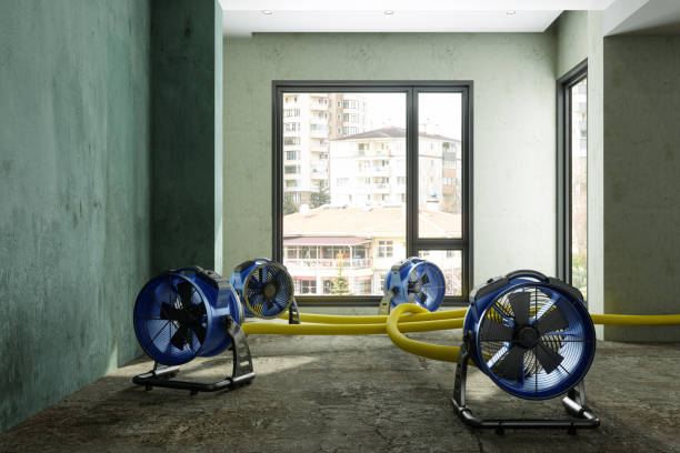 Best Water damage cleanup near me  in Oakwood, OH