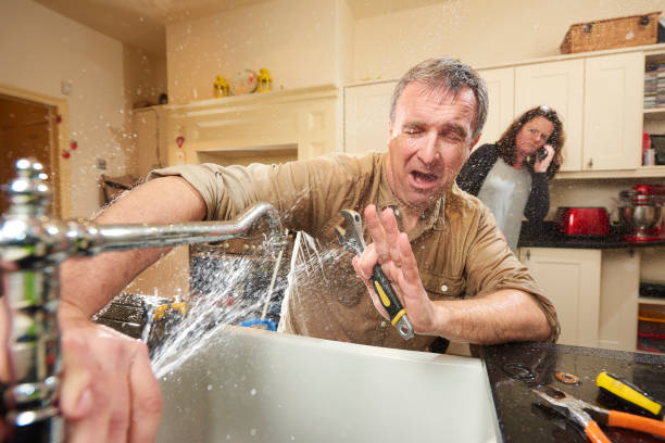 Best Flooded house restoration  in Oakwood, OH